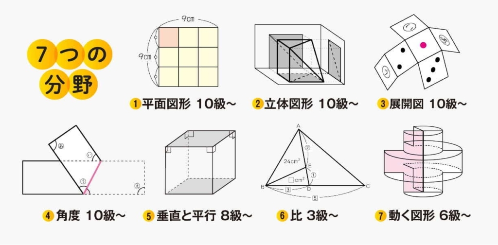 7つの分野：平面図形、立体図形、展開図、角度、垂直と平行、比、動く図形